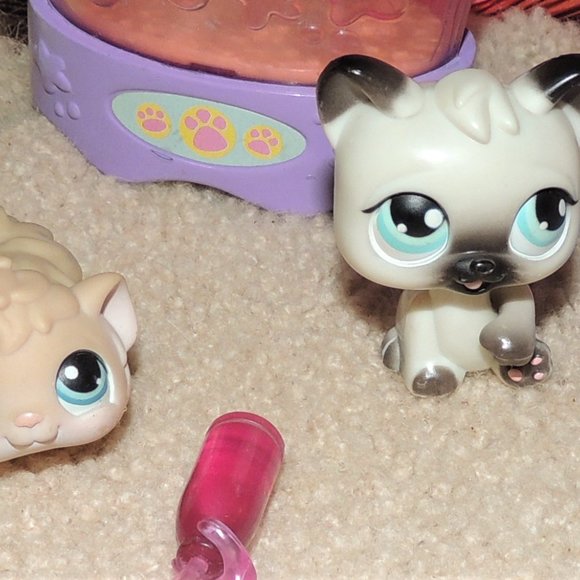"Biggest Littlest Pet Shop" Playset w/pets - Picture 11 of 11